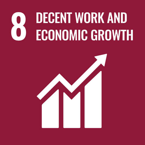 08 Decent work and economic growth icon