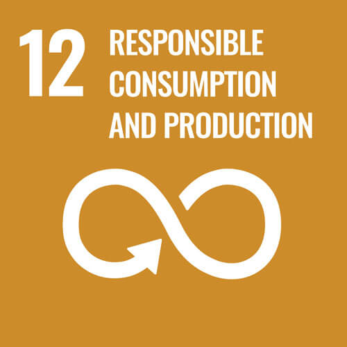 12 Responsible consumption and production icon