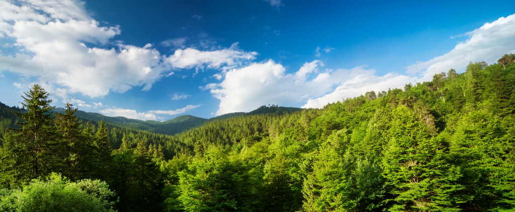 REACH - Umweltschutz bei voestalpine