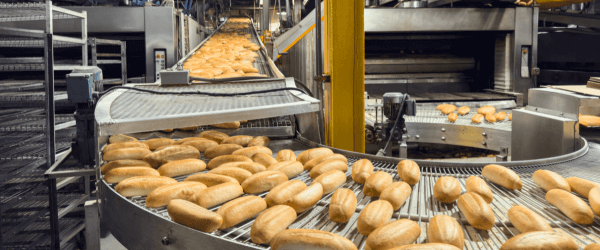 Food production showing freshly baked bread rolls